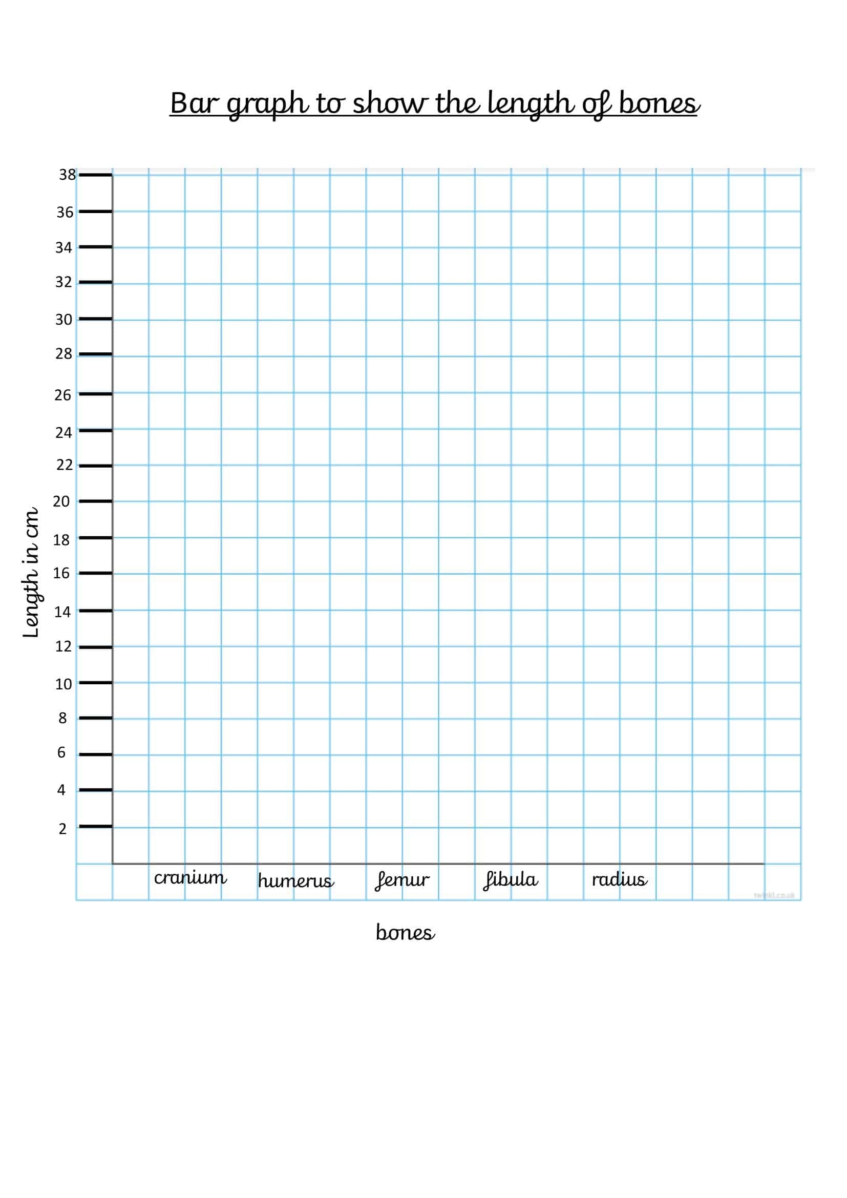 Free Printable Bar Graph Templates PDF Word Excel 2nd Grade With Labels