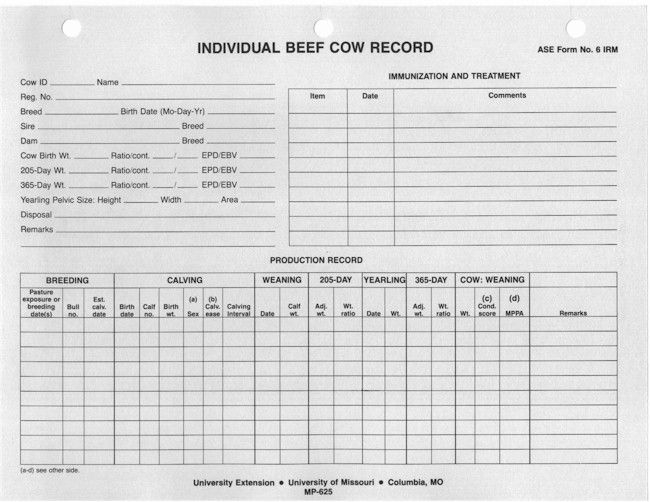 Free Printable Cattle Record Keeping Forms Printable Forms Free Online