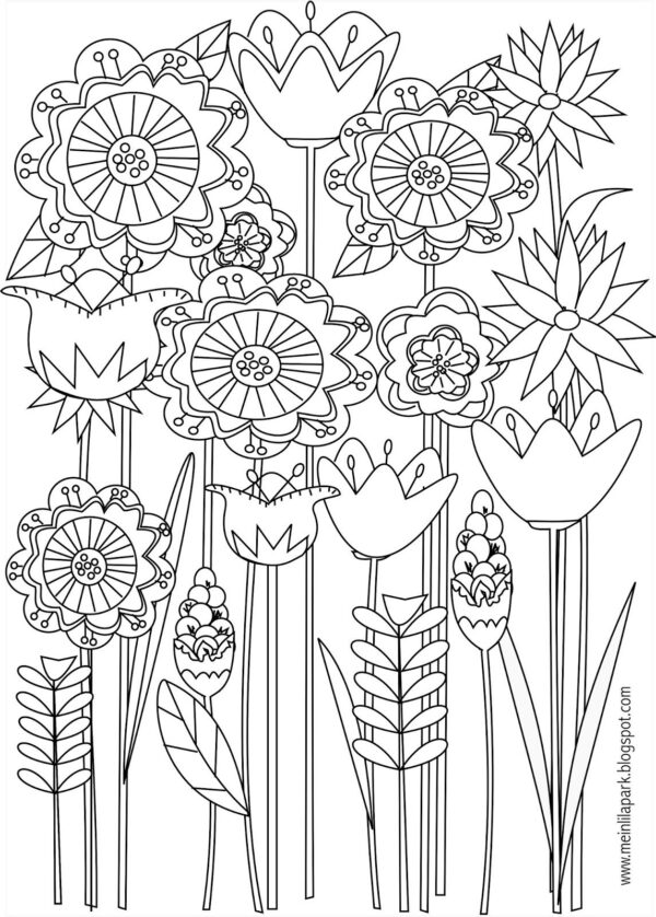 Free Printable Adult Coloring Pages Spring Flowers