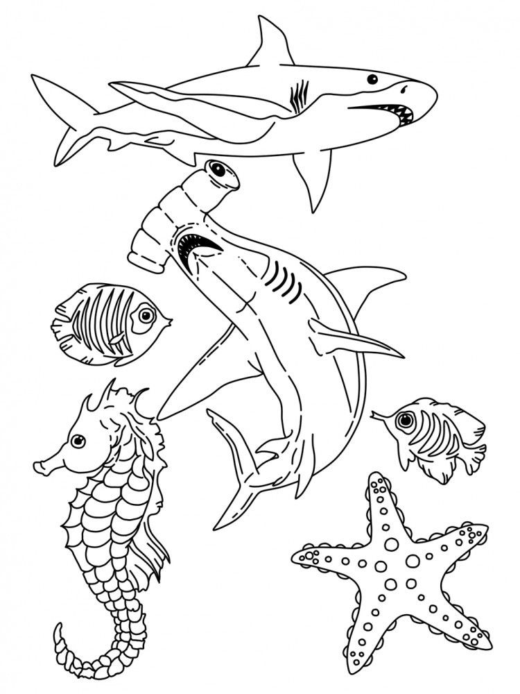 Free Printable Pictures Of Sea Life Printable Templates Free Printable Pictures Of Sea Life Printable Templates