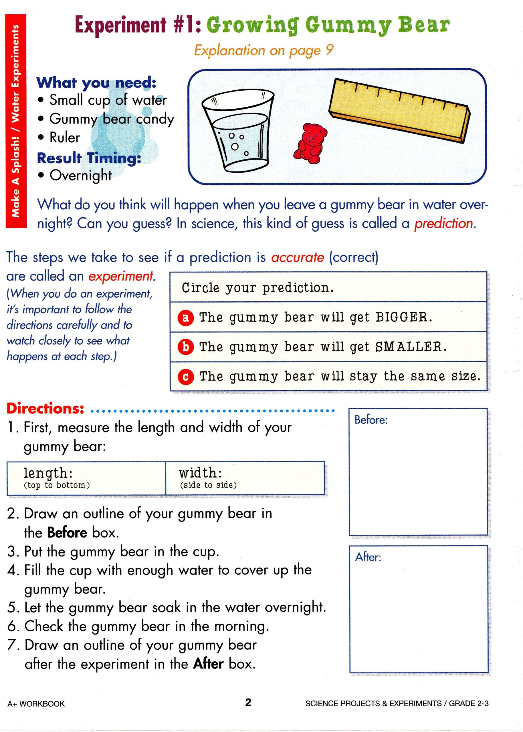 Free Science Worksheets For 3rd Grade
