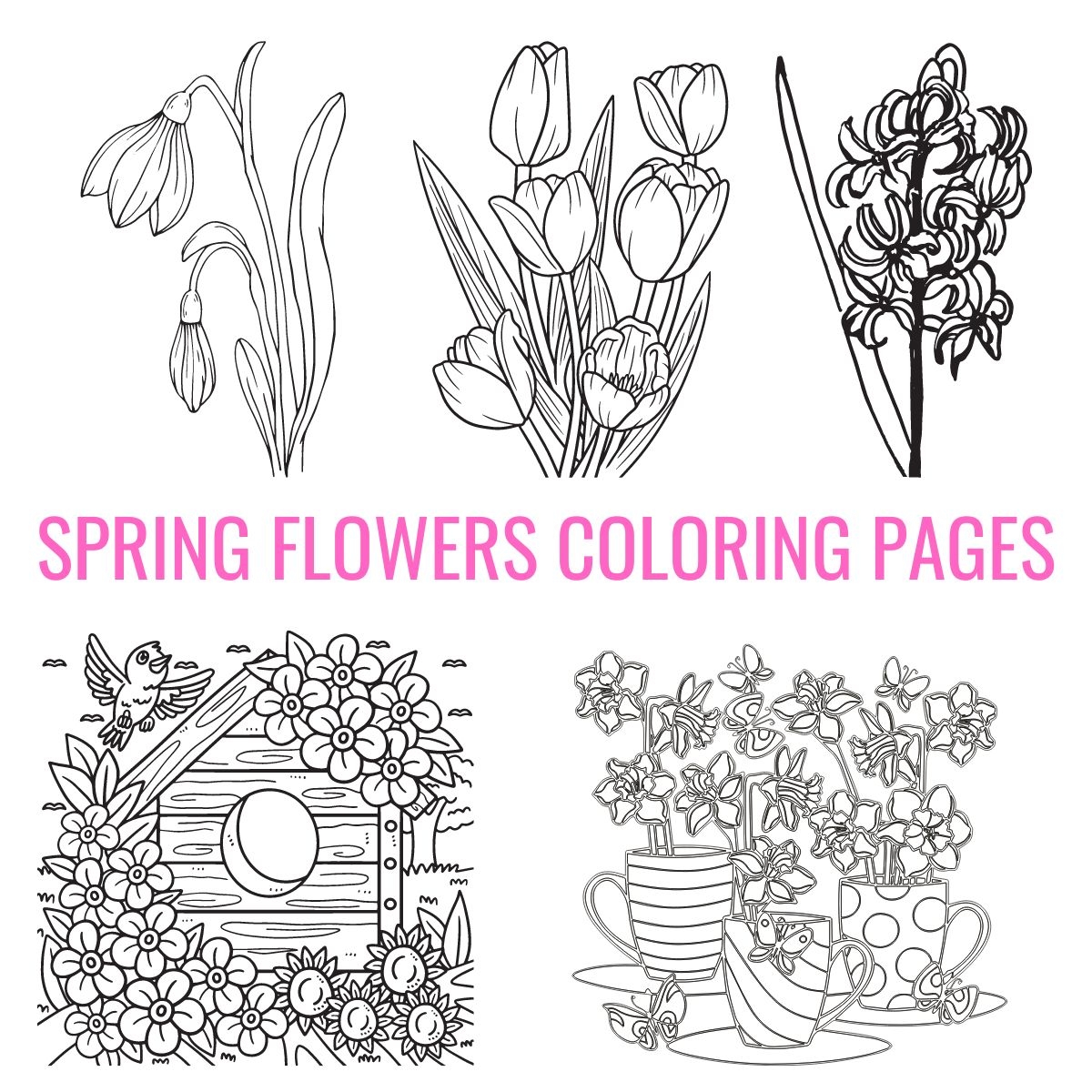 Free Spring Flowers Coloring Pages For Kids And Adults Free Spring Flowers Coloring Pages For Kids And Adults