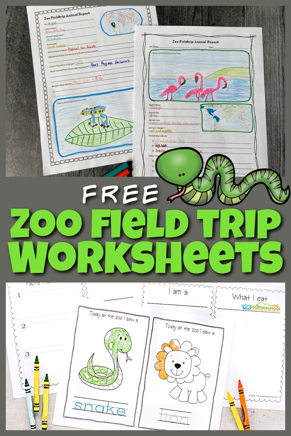 Printable Field Trip Worksheet