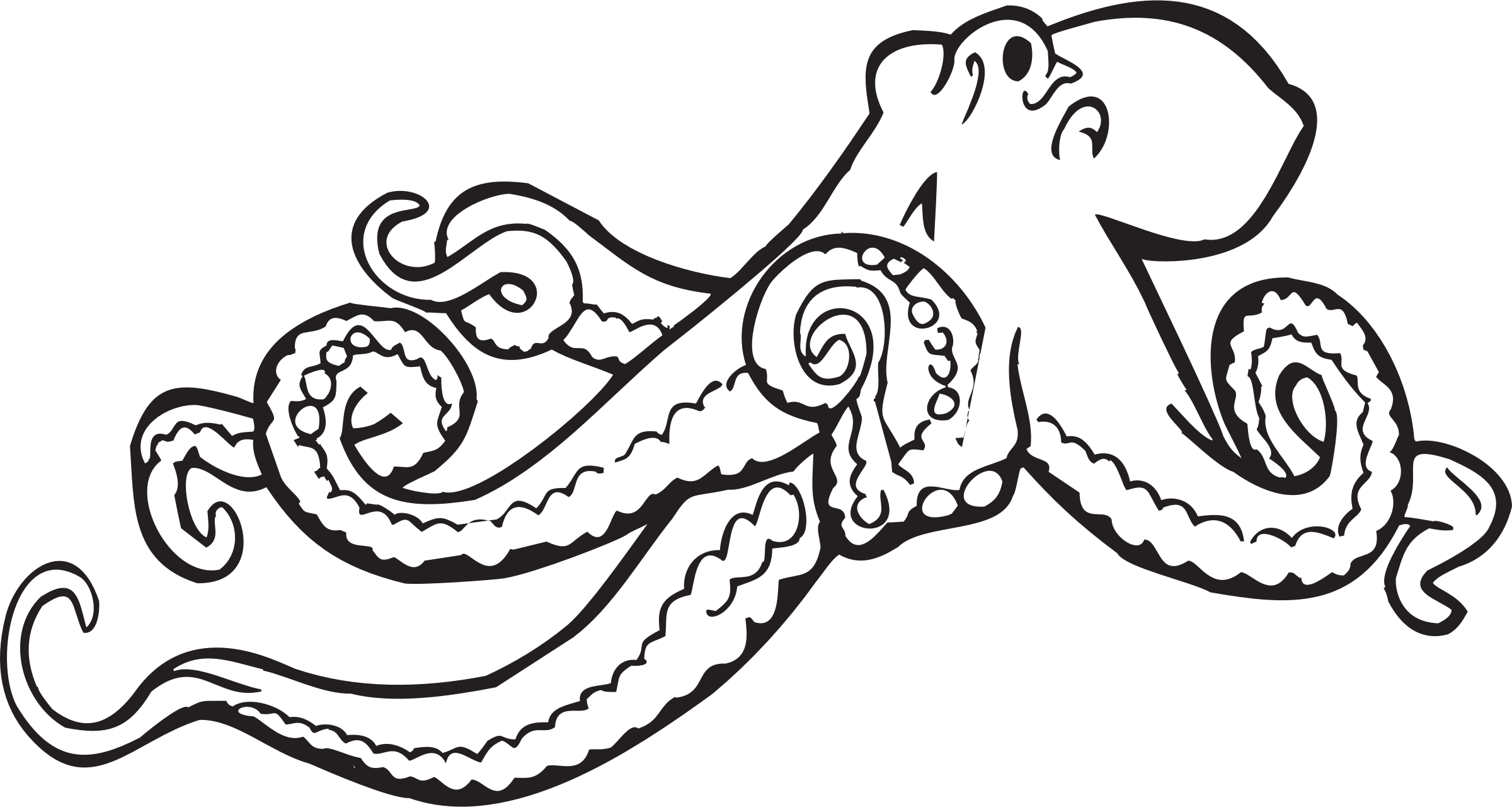 Octopus Line Drawing Coloring Page Pyrography Woodburning Pattern 