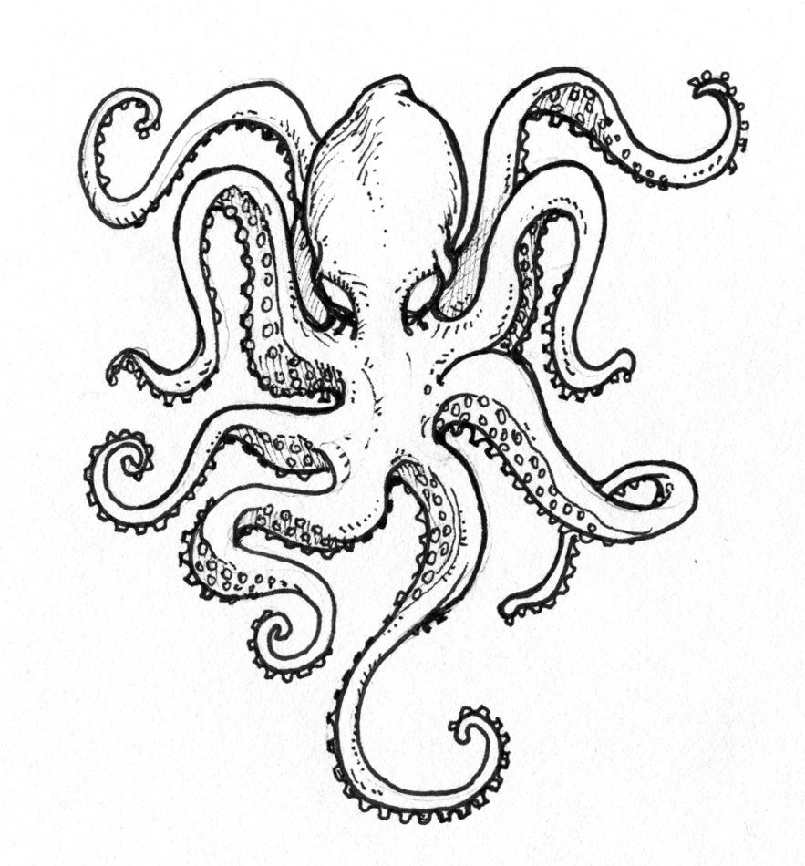 Octopus Pyrography Wood Burning Woodburning Pattern Bl ksprutte 