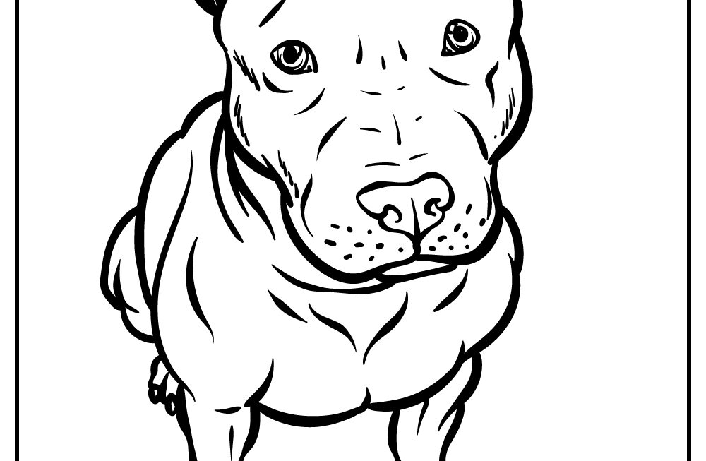 Pitbull Coloring Pages 100 Free Printables