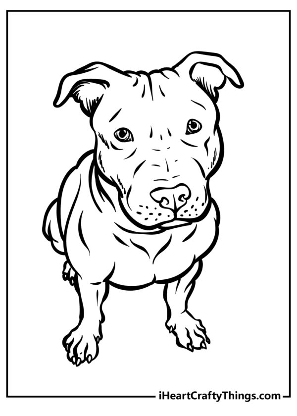 Free Printable Pitbull Dog Coloring Picture
