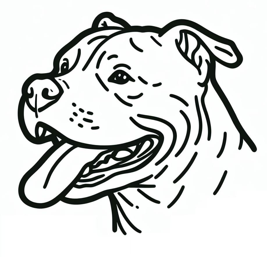 Pitbull Dog Face Coloring Page Download Print Or Color Online For Free
