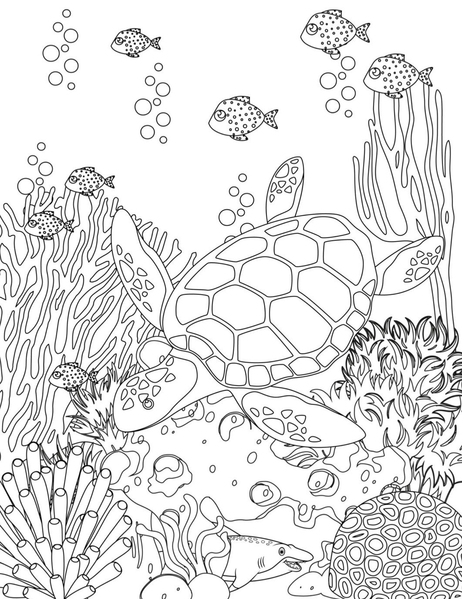 Sea Life 10 Printable Coloring Pages digital Download fun Etsy Sea Life 10 Printable Coloring Pages digital Download fun Etsy