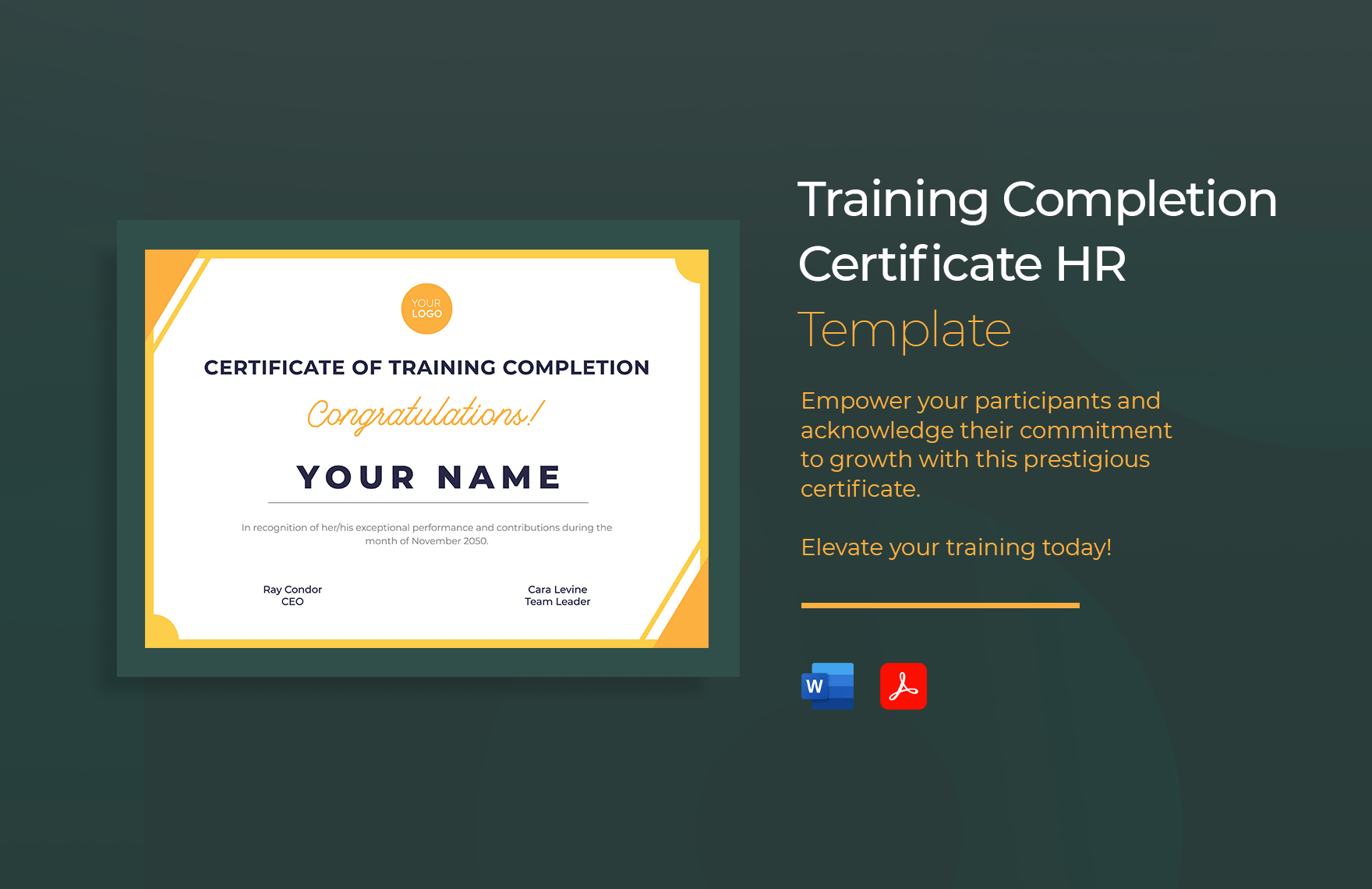 Security Training Certificate Template In PSD Illustrator Pages 