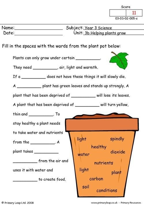 Worksheets For 3rd Graders Science Science Worksheets For Grade 3 Plants