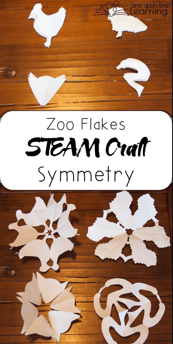 Zoo Flakes Symmetrical STEAM Snowflake Craft Arts And Crafts Storage 