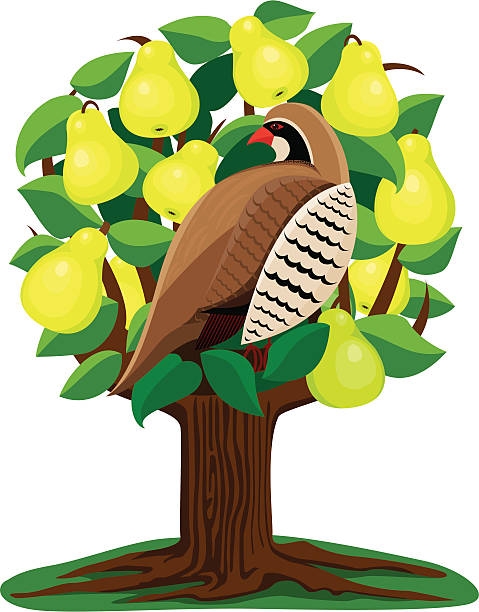 Free Printables Clipart Partridge In A Pear Tree