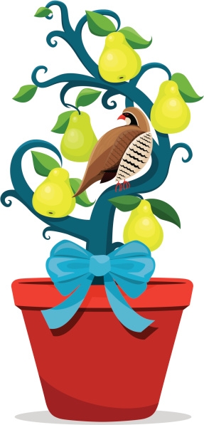 Partridge In A Pear Tree Clip Art ClipArt Best Partridge In A Pear Tree Clip Art ClipArt Best