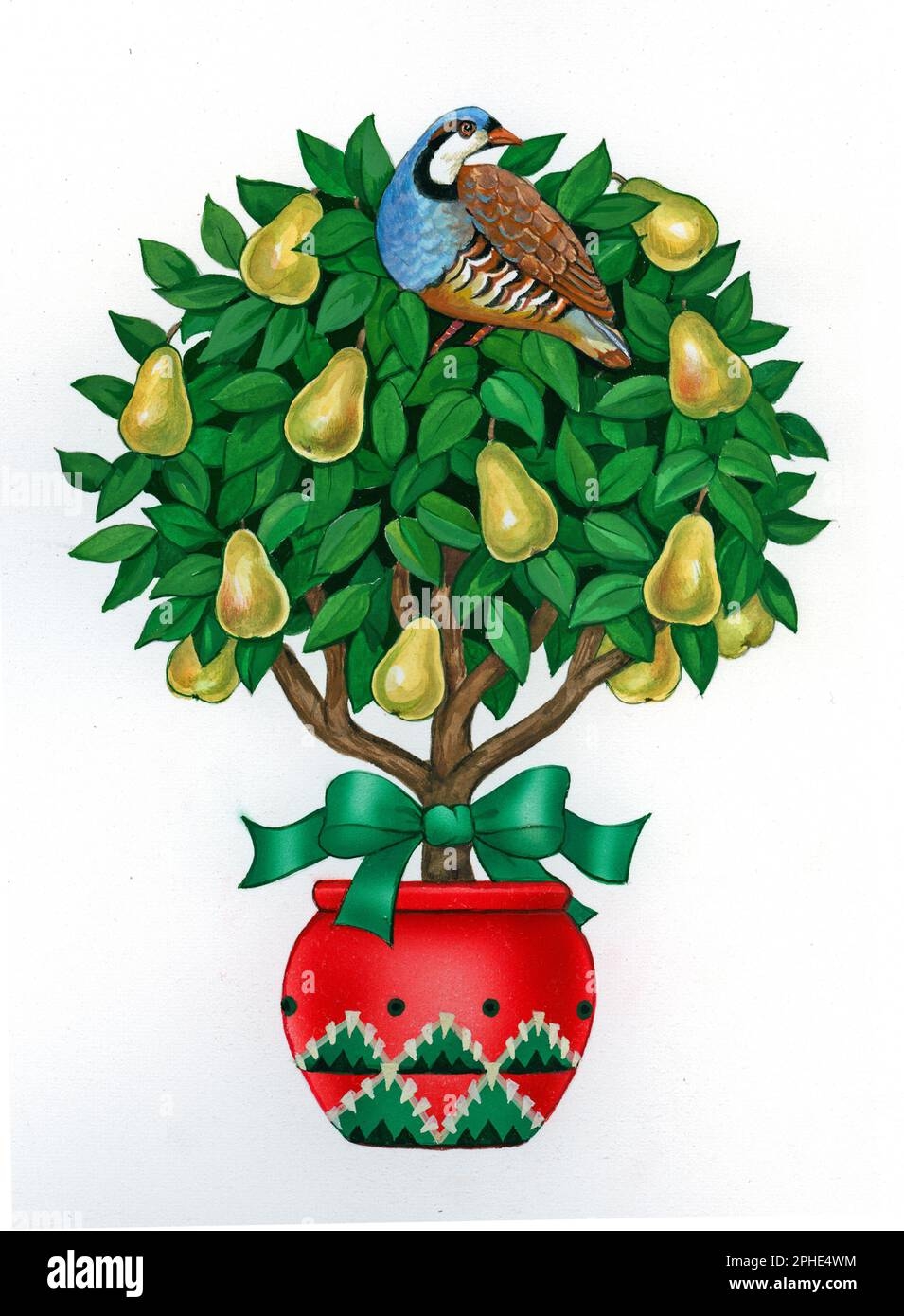 Partridge In A Pear Tree Clipart Partridge In A Pear Tree Clipart