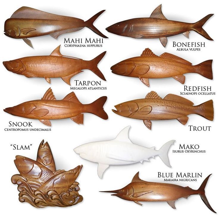 Printable Fish Wood Carving Patterns Printable Templates