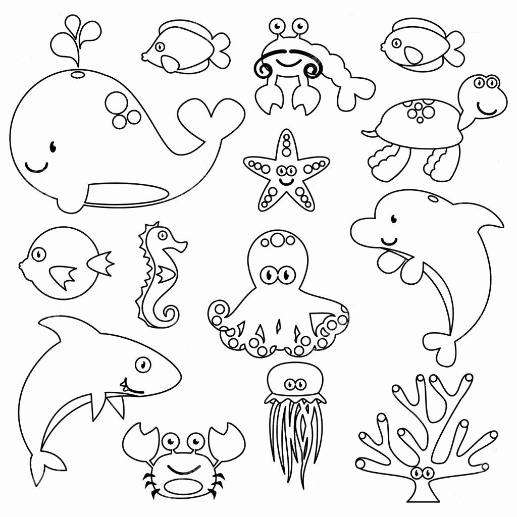 Sea Animals Printable Coloring Pages